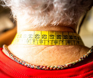 juana-olga-artesana-lapalma-12