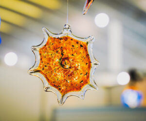 37ª Feria de Artesanía de Canarias